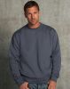 Sweatshirt Authentic Set-In Russell